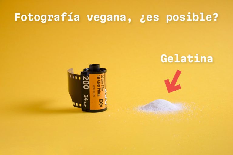 Fotografía analógica vegana, ¿es posible?