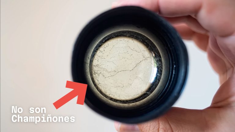 ¿Qué son los Hongos en los objetivos y cómo prevenirlos?