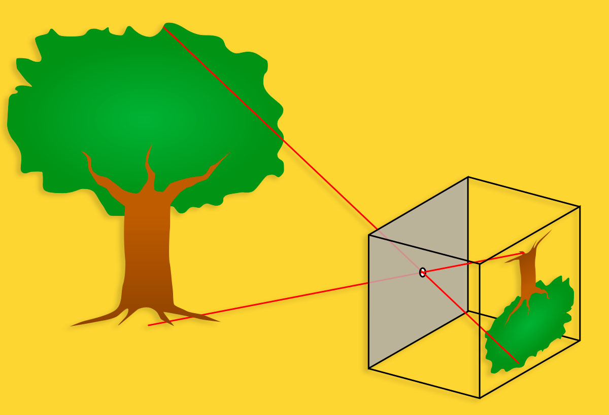 ¿Qué es la fotografía ESTENOPEICA o PINHOLE? Club del analógico🎞️